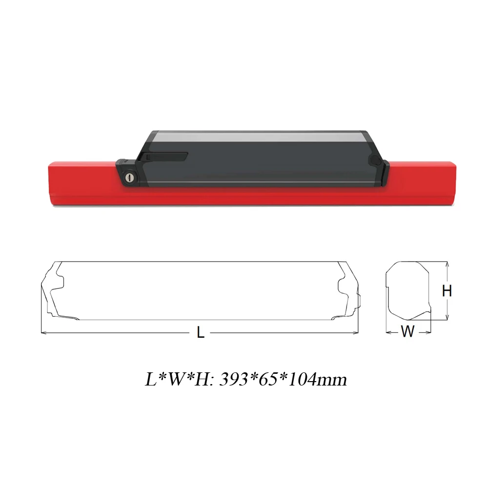 PACE 500 Bike Lithium Replacement Battery, 48V, 14Ah, 672Wh, US Stock