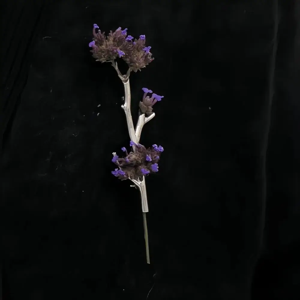 Broche Creativo en Forma de Rama para Flores, Corsage DIY para Ropa, Broches de Plástico y Metal con Flores Insertables