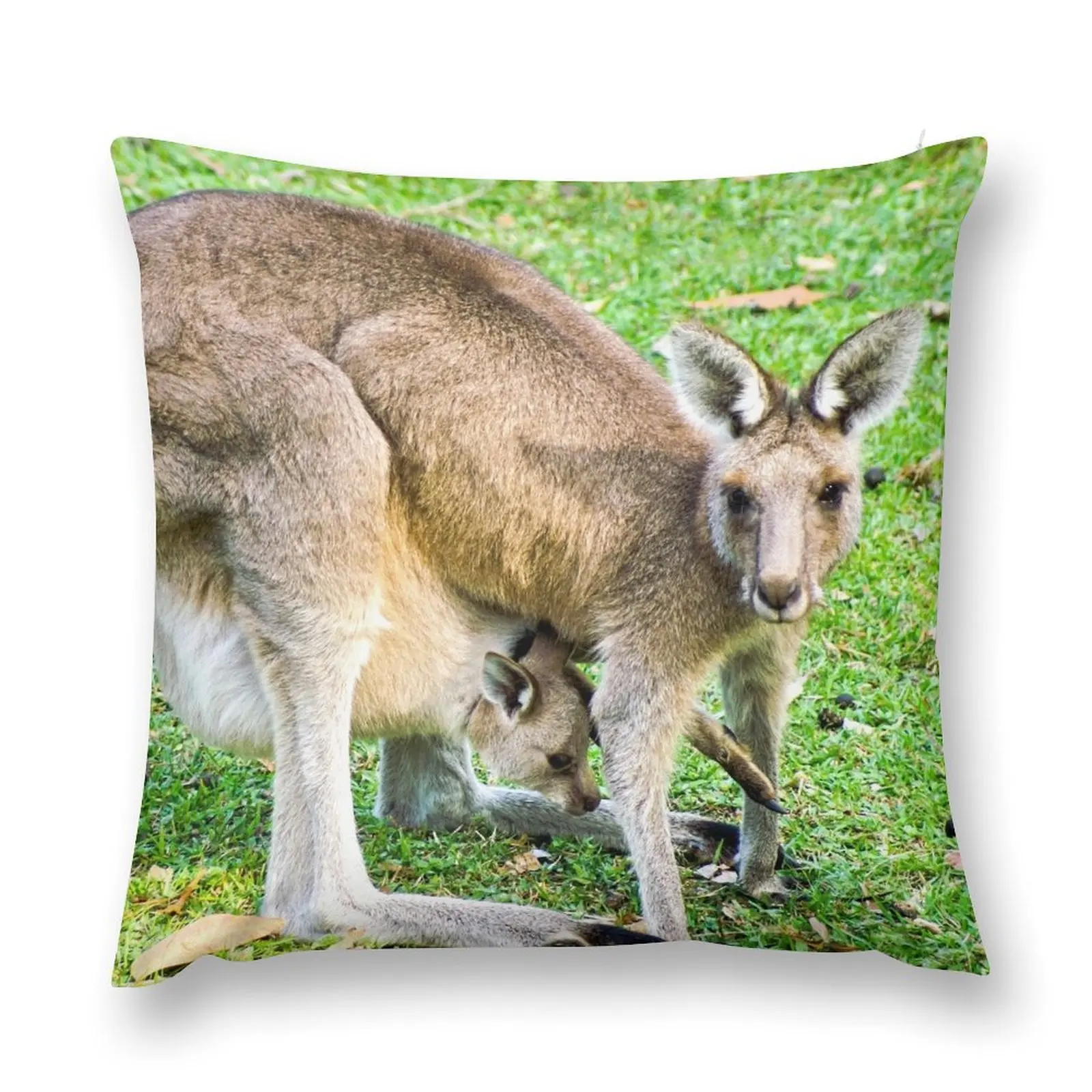 Eastern Grey Kangaroo with Joey Throw Pillow Elastic Cover For Sofa Decorative Sofa Cushions pillow