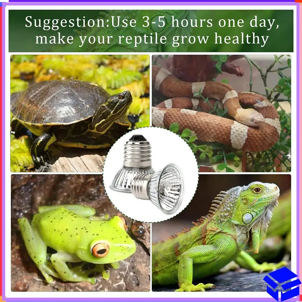 

Reliable 6 Pack Turtle Heating Bulbs 50W X 6 UVA UVB Lamps Glass Container Heating Lamp For Reptiles, Turtles, Snakes