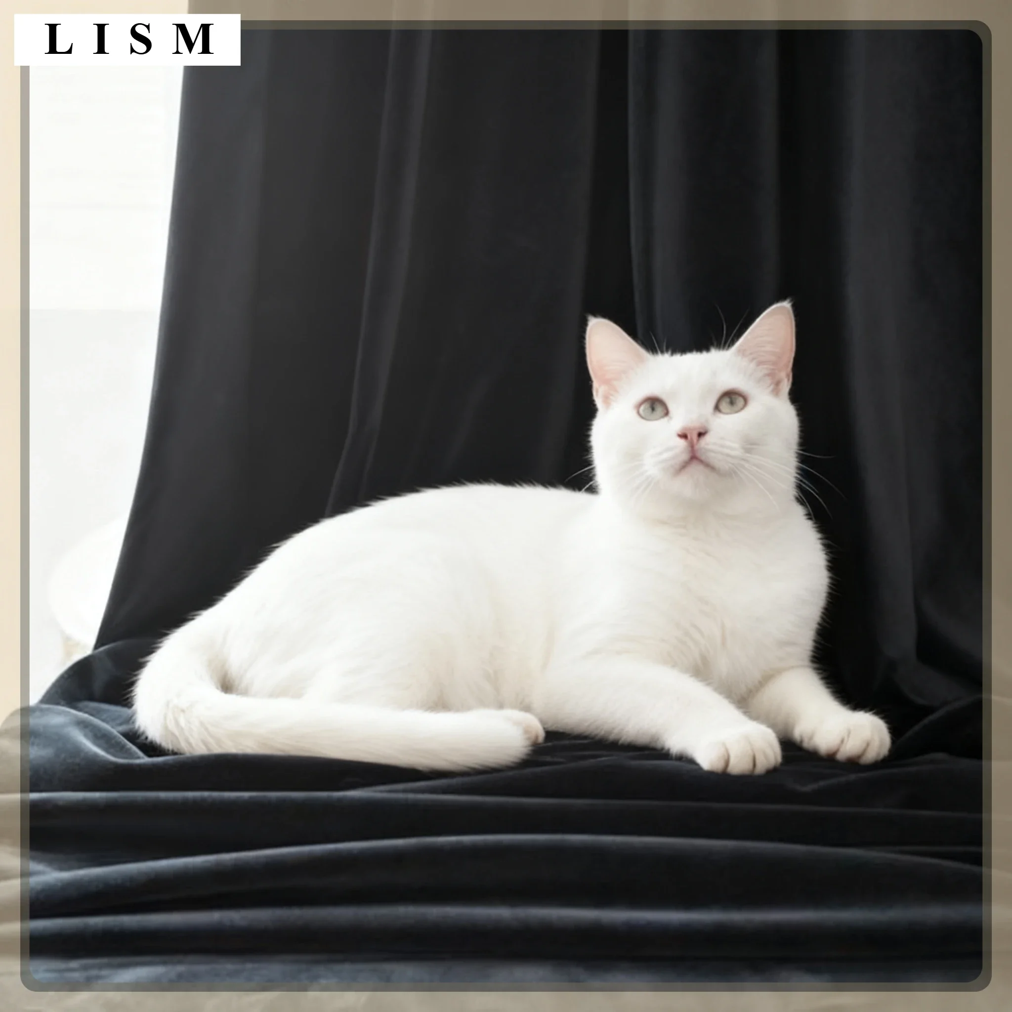 

Modern Black Velvet Blackout Curtains for Bedroom Living Room Scratch Resistant Plush Drapes Thick Sun Blocking Insulated