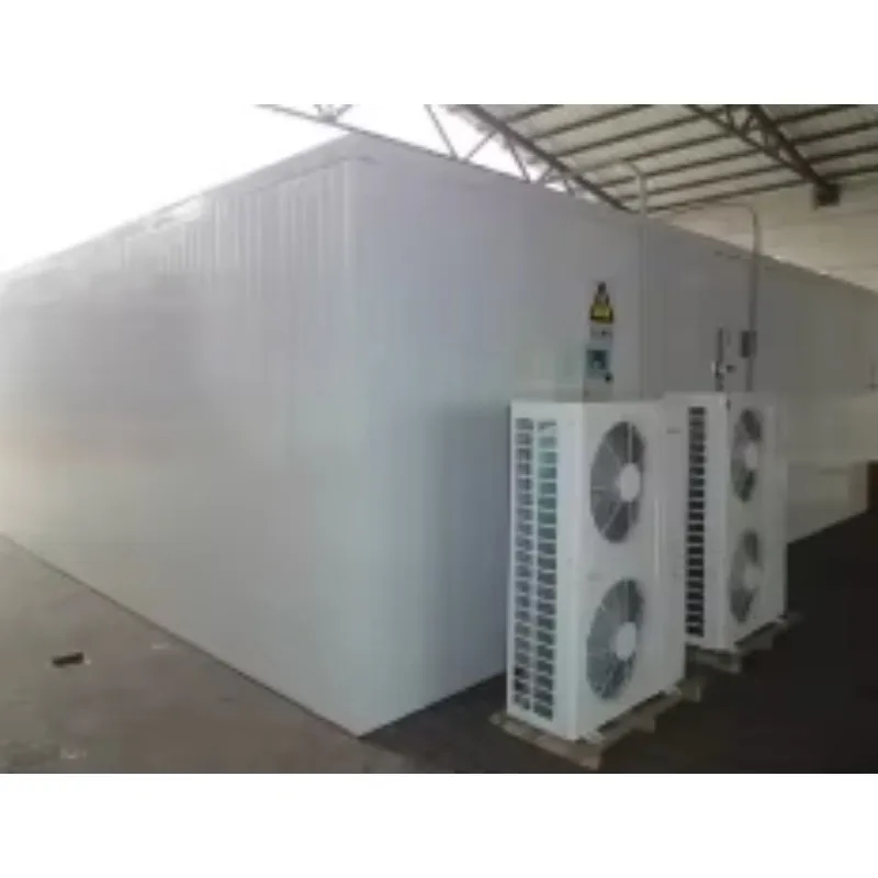 FL Wholesale Cold Room Walk in Cooler Cold Storage for Keep Fresh Fruits /vegetables /fish/transportation Customized