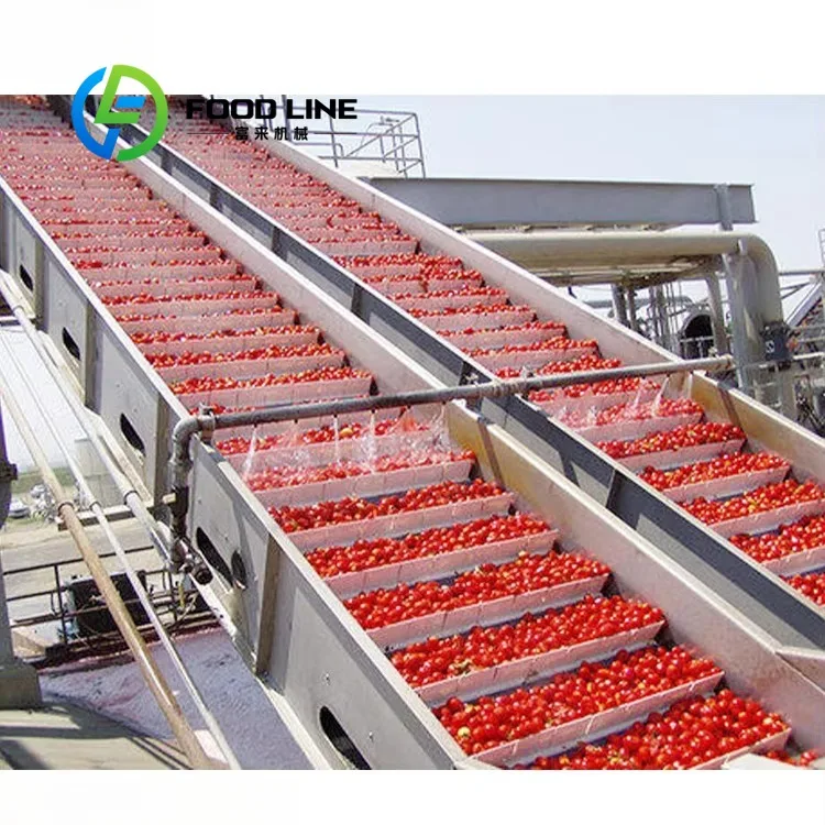100-1000kg Output Automatic Tomato Paste Production Line Ketchup Production Processing Line