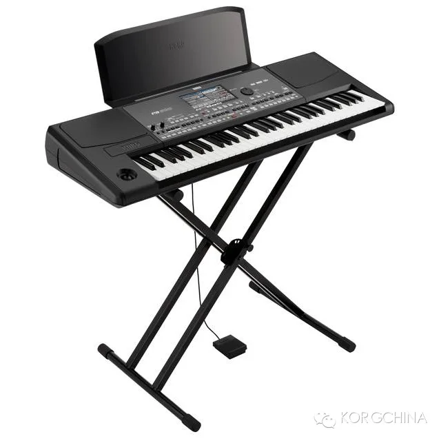 Korg Pa5X 61 - 61-Key Professional Arranger Workstation