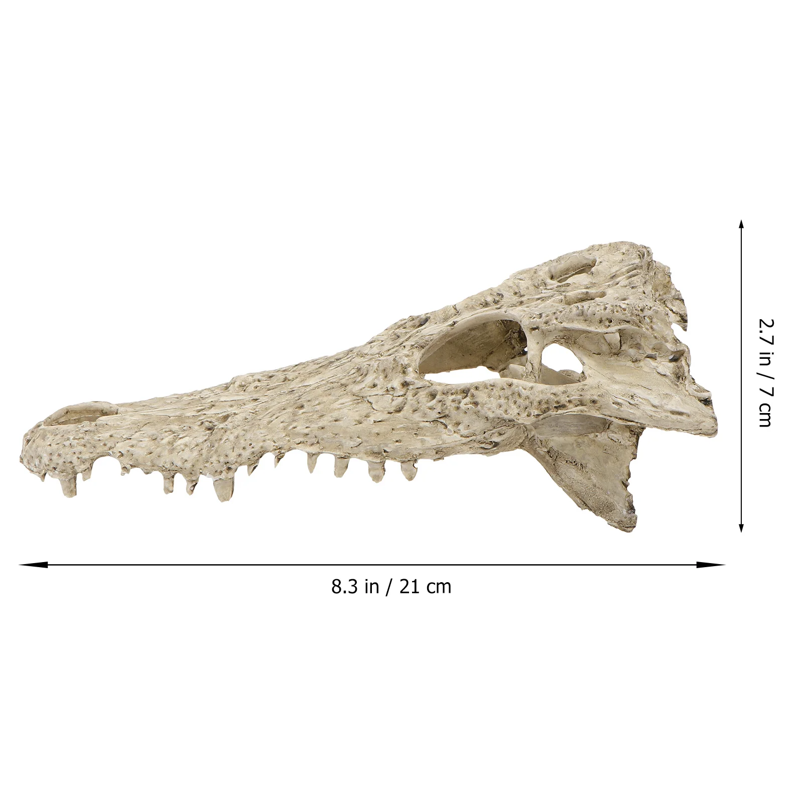 1Pcs Dinosaur Skull Resin Ornament Micro Landscape Adornment Attractive DIY Fish Tank Aquarium Decoration Simulation Skull