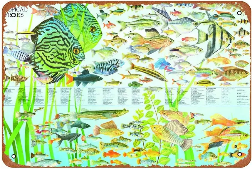 Ysirseu Freshwater Tropical Fish Education Funny Art Metal Tin Sign 8x12 inch Bar Pub Indoor Outdoor Wall Decor Gifts for Man