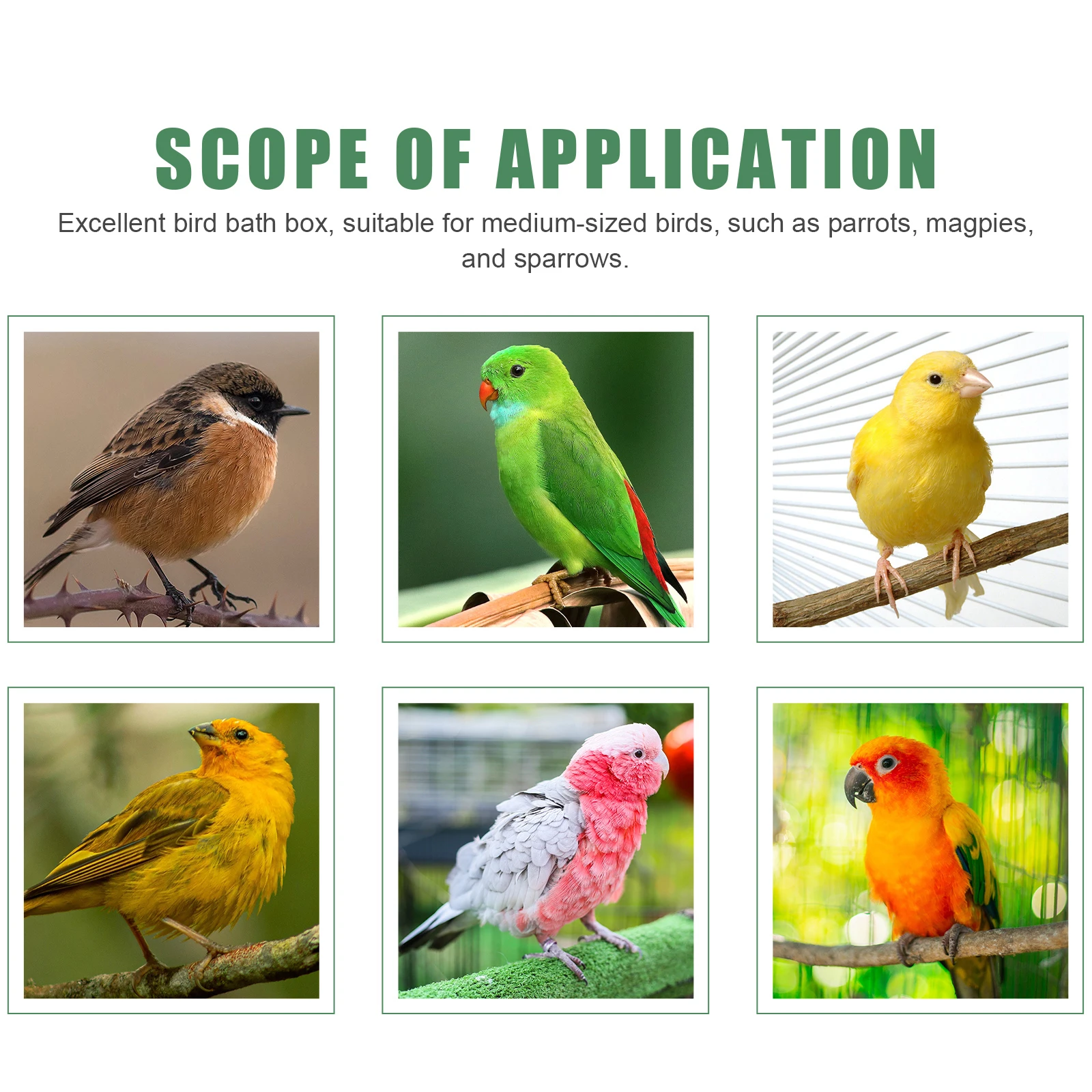 

Covered Bird Bath Cage for Finches Canaries Lovebirds Semi-Transparent Plastic Bathing Container Promotes Natural Bathing Habit