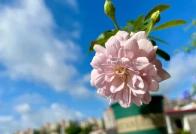 

Колеса и шины 1.9 Beadlock для радиоуправляемых краулеров 1/10 (TRX4, Axial SCX10 II/III, Redcat Gen 8) – для бездорожья, грязи и камней