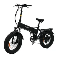 Windgoo F22 Pro Adult E Bicycle 250W Motor Foldable E Bike 48V 12.5Ah Battery 20-inch Fat Tires All-Terrain Electric Bicycle