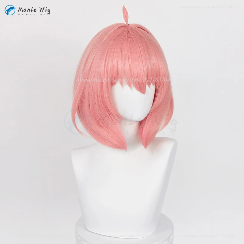 Perruque de Cosplay de Dessin Animé éventuelles Y × FAMILY, Cheveux Synthétiques Courts, Rouges et Bruns de 30cm avec Bonnet
