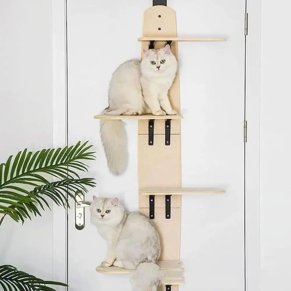 Настенная лестница для кошек со съемным ковриком, домашним кошачьим деревом и дверной подвесной полкой для скалолазания