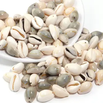 6 best sales Vỏ sò - №2