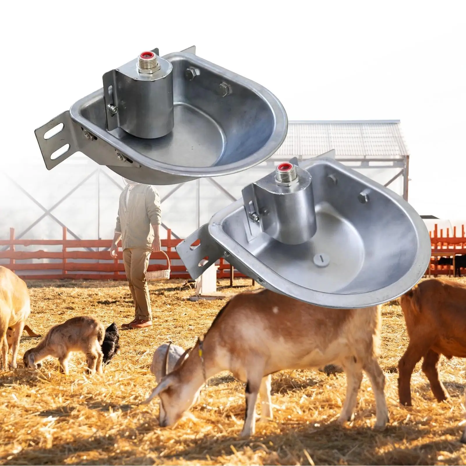 Rust Proof Stainless Steel Automatic Drinking Bowl Livestock Waterer Farm Animal Fountain for Dog Goat Pig Feeding