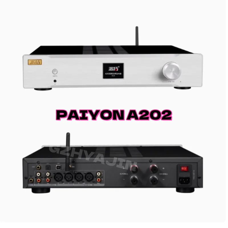 PAIYON A202 combined audio power amplifier pure post stage hifi fever amplifier with decoding