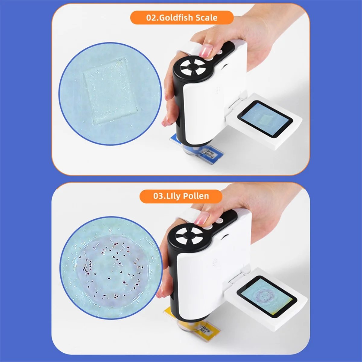 Microscopio Microscopio DV per bambini Microscopio 1000X con 6 luci LED regolabili LCD da 2 pollici