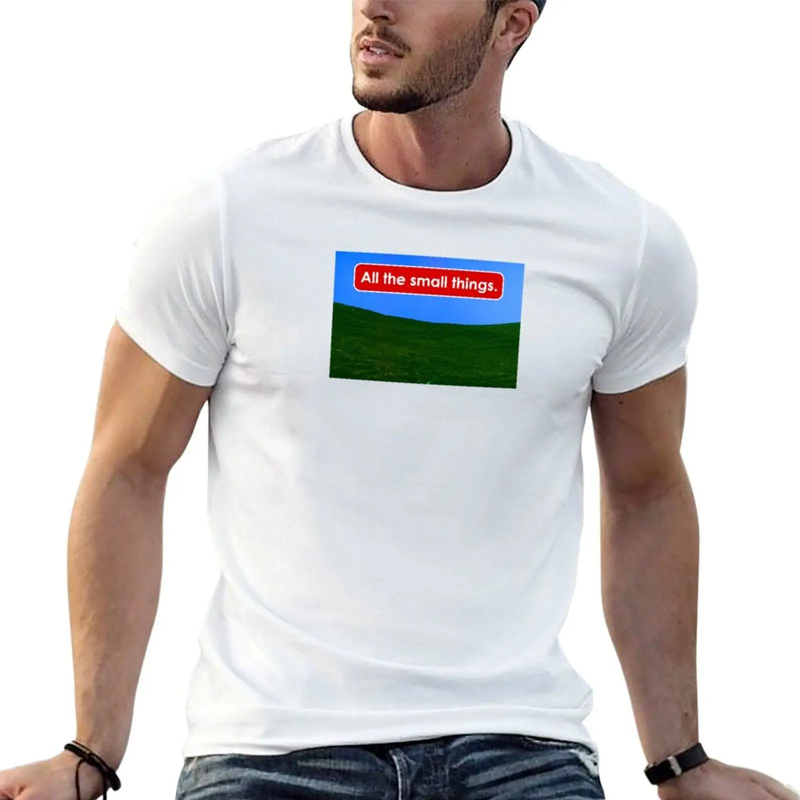 All the small things T-Shirt oversized kawaii clothes t shirts for men cotton
