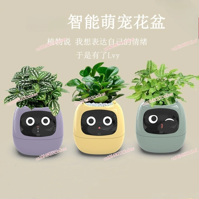 زارع آمن للحيوانات الأليفة الذكي | روبوت العناية بالنباتات مع عرض الوقت ودرجة الحرارة - وعاء سقي النباتات الأوتوماتيكي #2