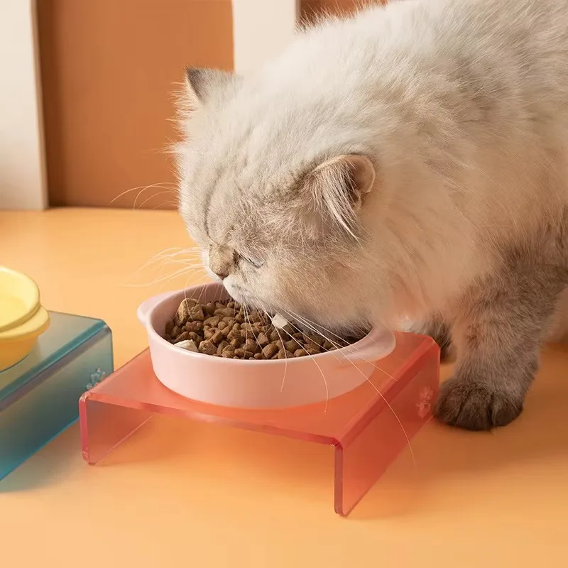 Flat-bottom ceramic double-handle bowl to prevent spilling and avoid blackening the chin. Cat and dog food bowl for pet supplies