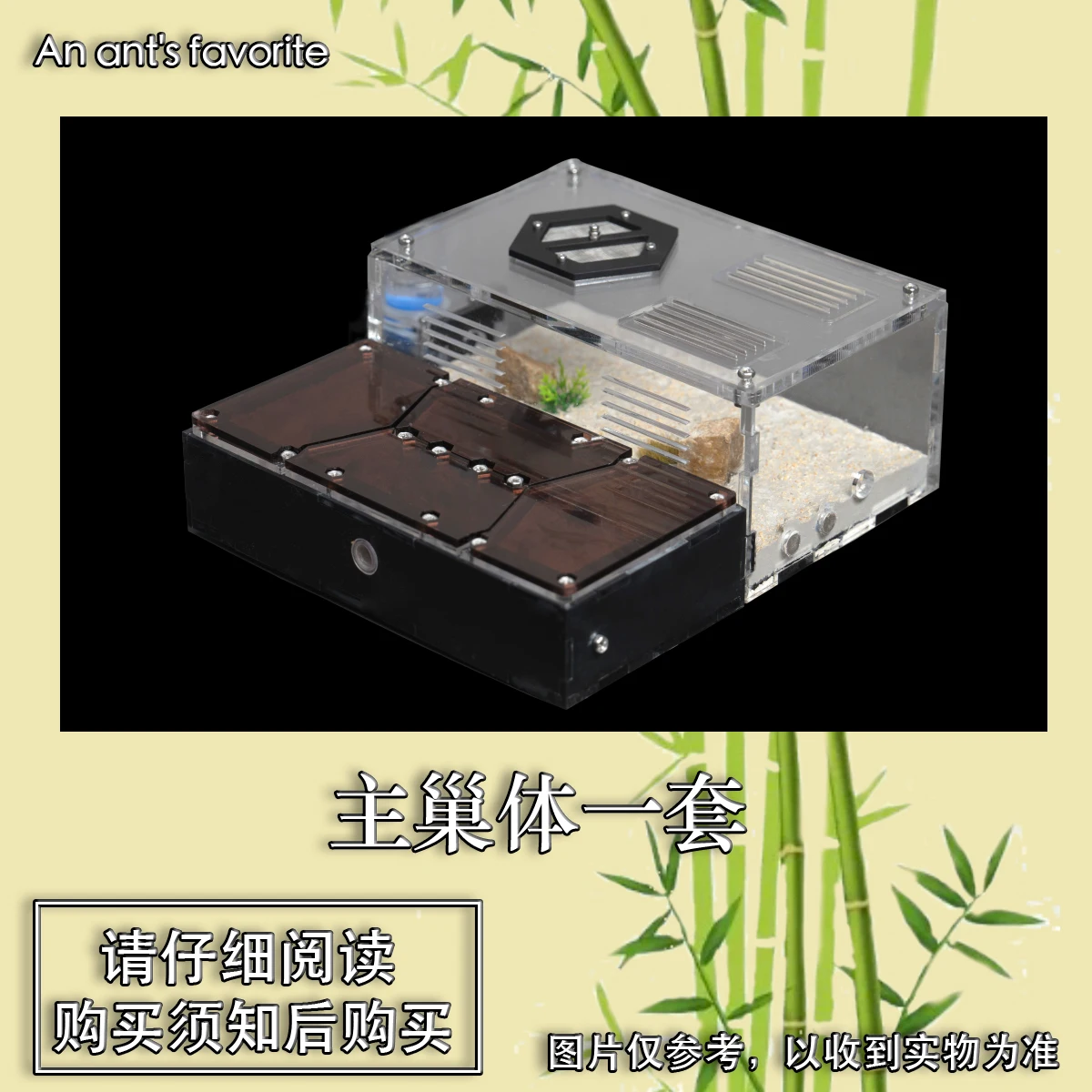 Children's Observation And Breeding Pet Ants House Ant Farm