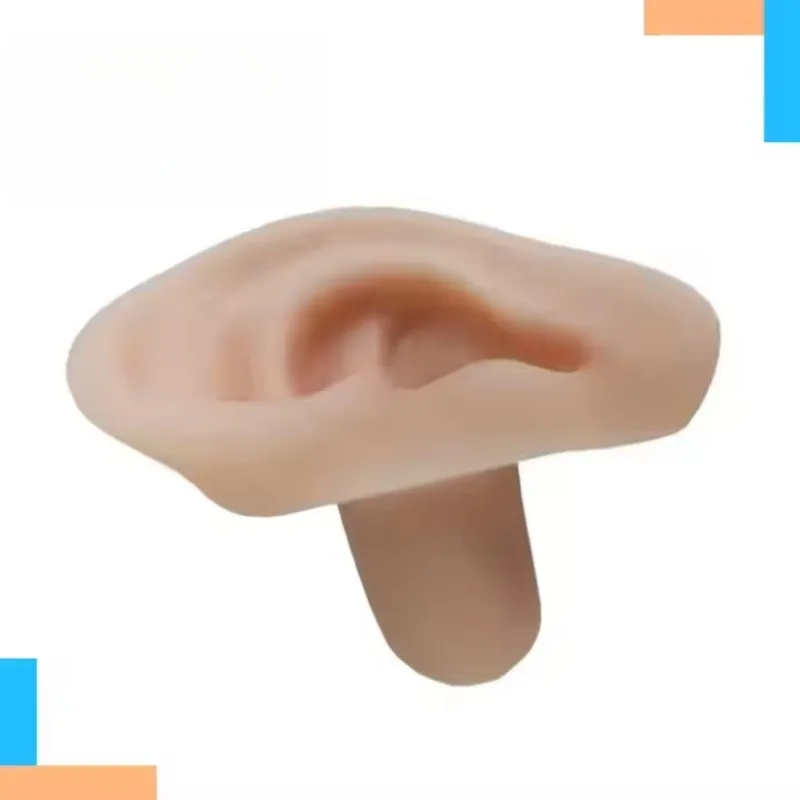 Medical Training Anatomy Model Soft Silica Human Ear Suture Ear Sampling Science and Teaching Tools Organ Model