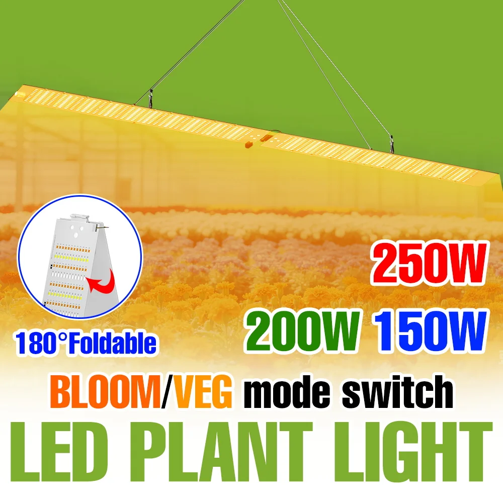 250w-led植物育成ライト-110v-フルスペクトル-uv-ir-クォンタムボード-水耕栽培-グロースボックス-温室テント-野菜-多肉植物-育成ランプ