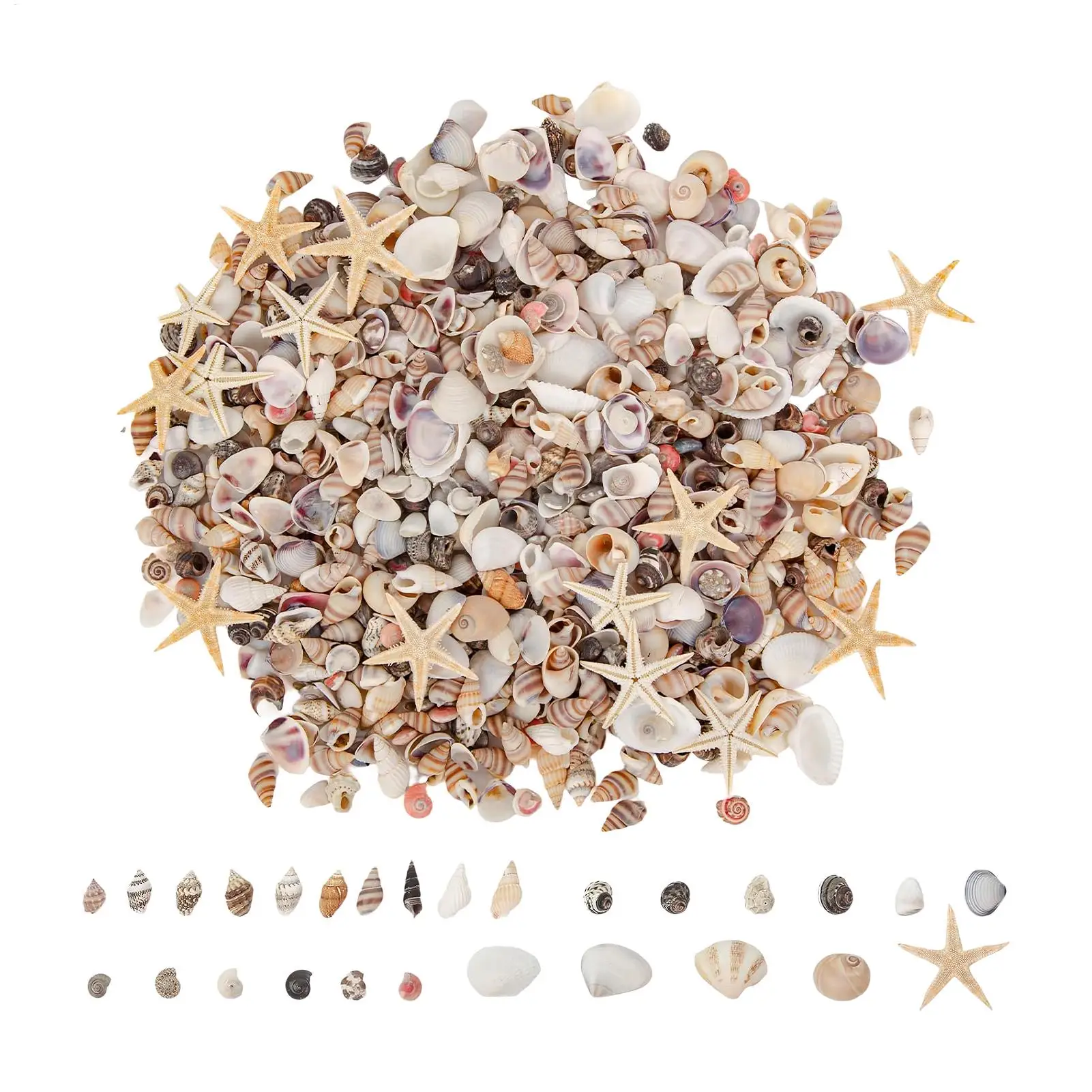 Tiny Shells DIY Crafts Making Tiny Shells Starfish Mixed for Hobbyists Beginners Adults Kids Art Teachers Artists Aquarium Fish