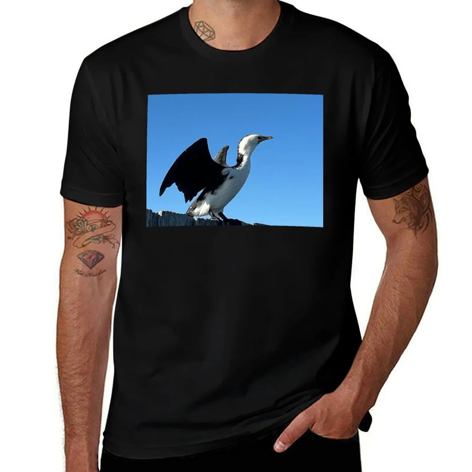 

Little Pied Cormorant T-Shirt anime shirt Funny t-shirts man t shirt new edition men clothing