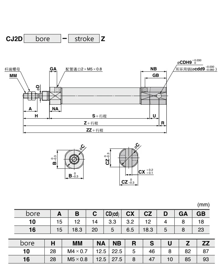 CDJ2D Bore16 Pneumatischer Mini-Edelstahl-Luftzylinder Doppelohr-Typ mit Eingebautem Magnetring – Detail 6