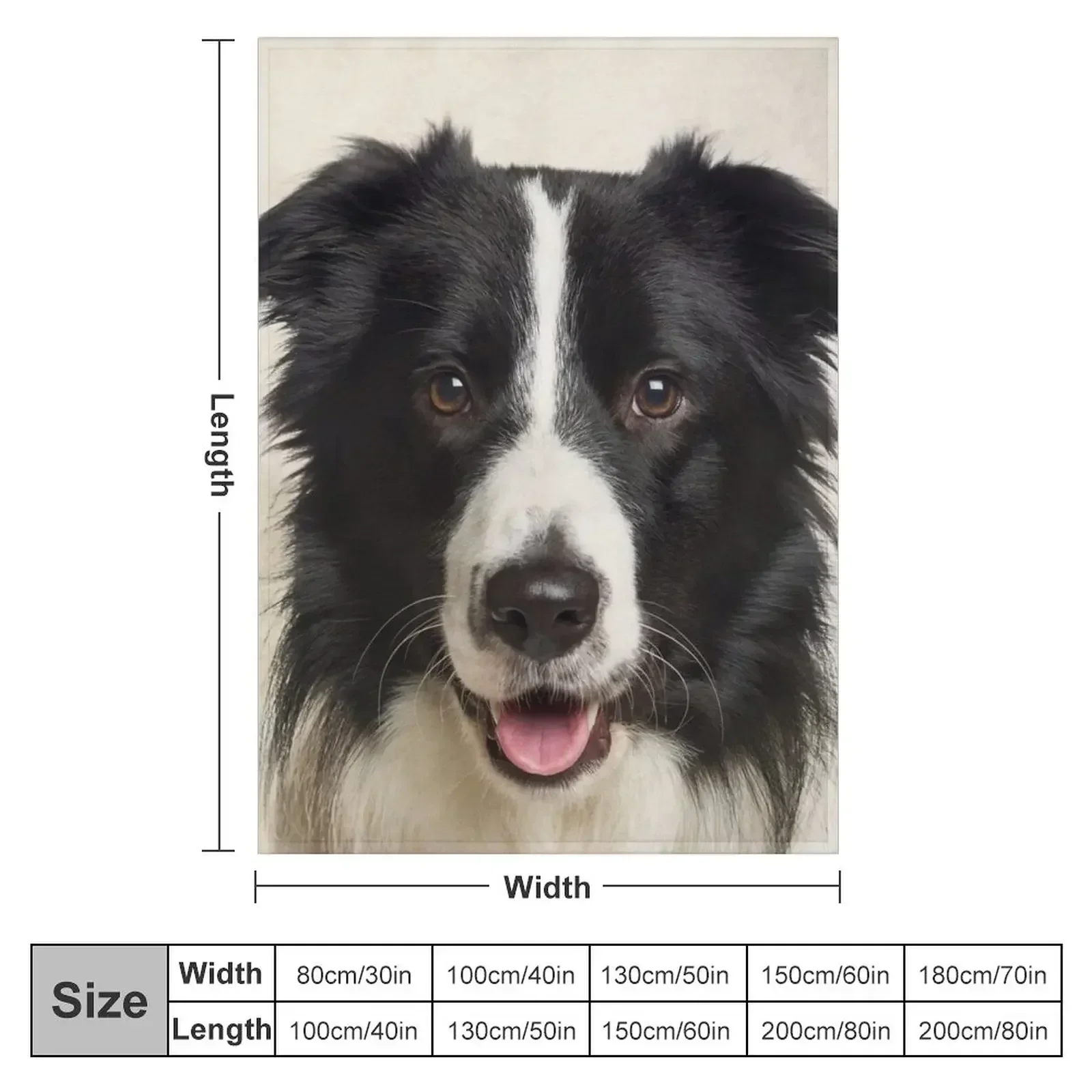 Border Collie Art, Domestic Dog, Animal Portrait Throw Blanket Thermal Decoratives Designers Thins Blankets