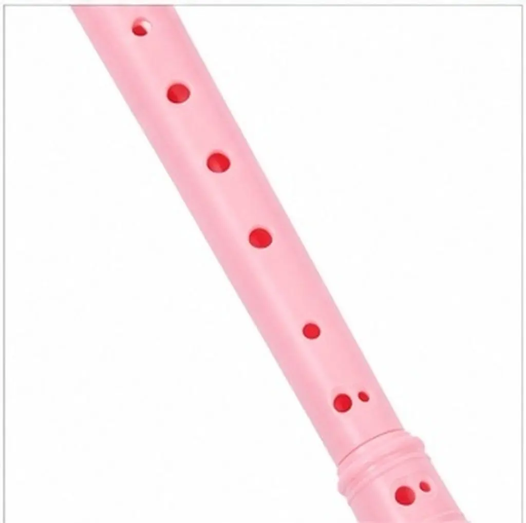 1Set Soprano Recorder 8 Holes Flute Instrument Lightweight Safe for Beginners Teens Music Flute Cleaning Rod Storage Bag