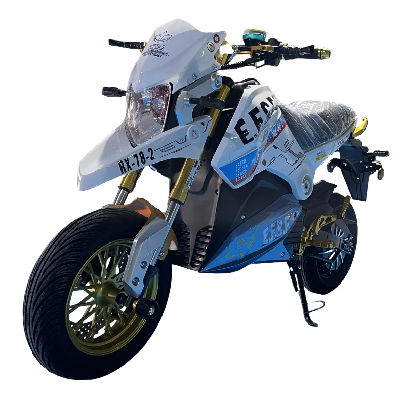 

2024 New Hot Sale 2000W Electric Motorcycle for Adults 12 Inches