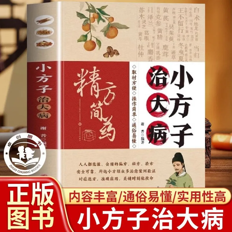 

Small Prescriptions for Treating Serious Illnesses, Traditional Chinese Medicine Books, Small Folk Remedies with Great Efficacy