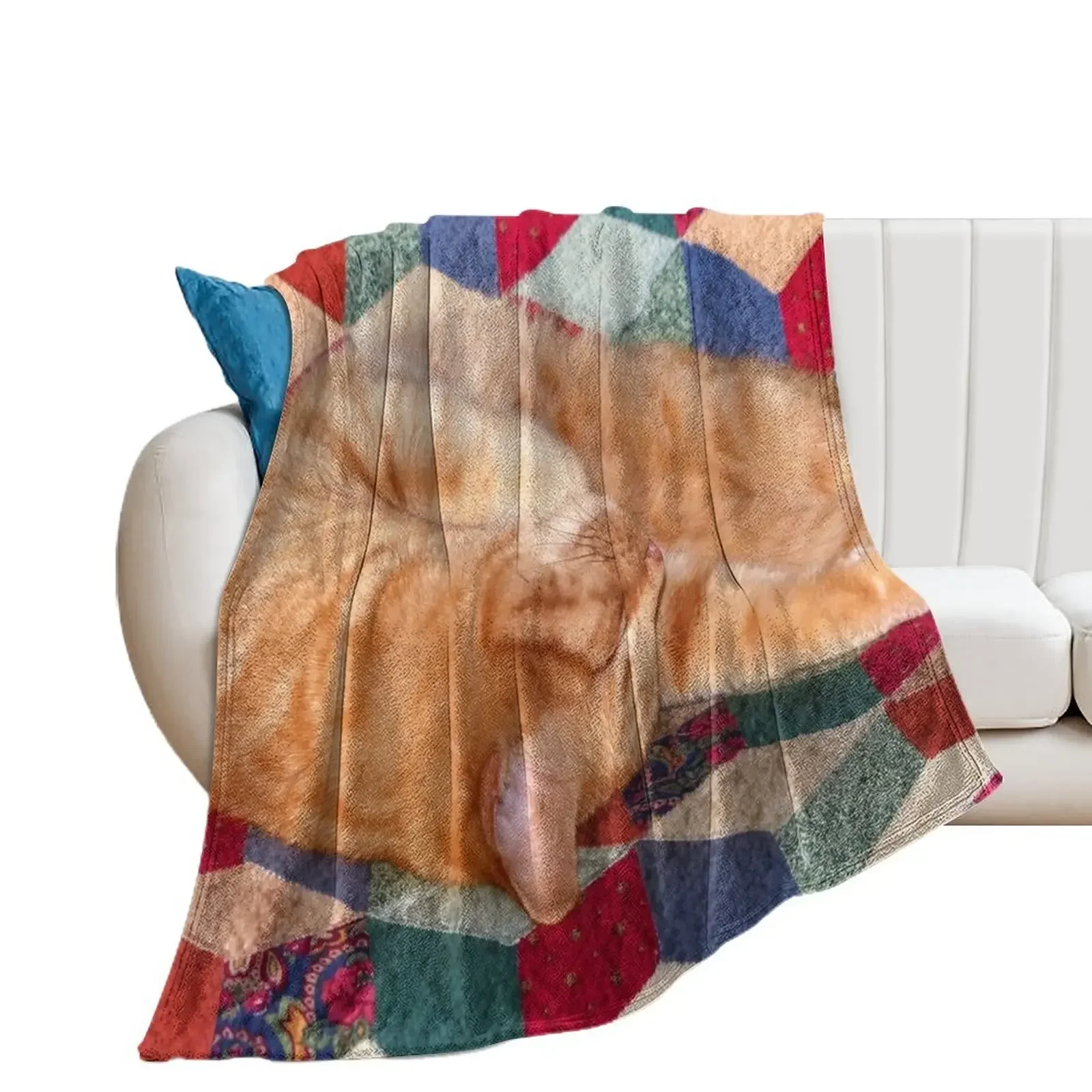 Ginger Cat Napping Throw Blanket Hairy Multi-Purpose Blankets