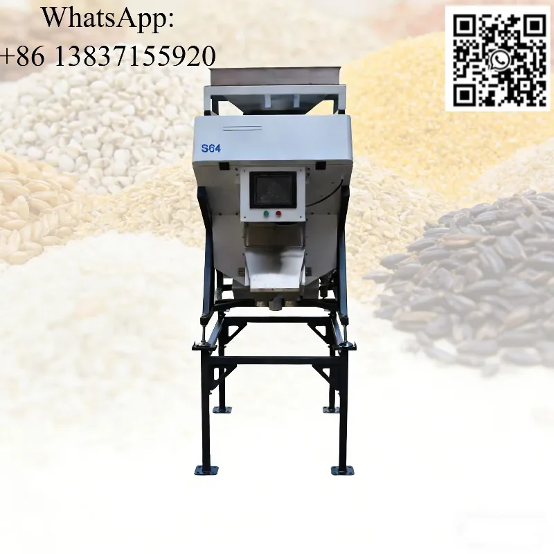 Custom Olive Spice Seed Sorting Machine Coffee Color Sorter Nuts Hazelnut Walnut Cocoa Grain Rice Sorter