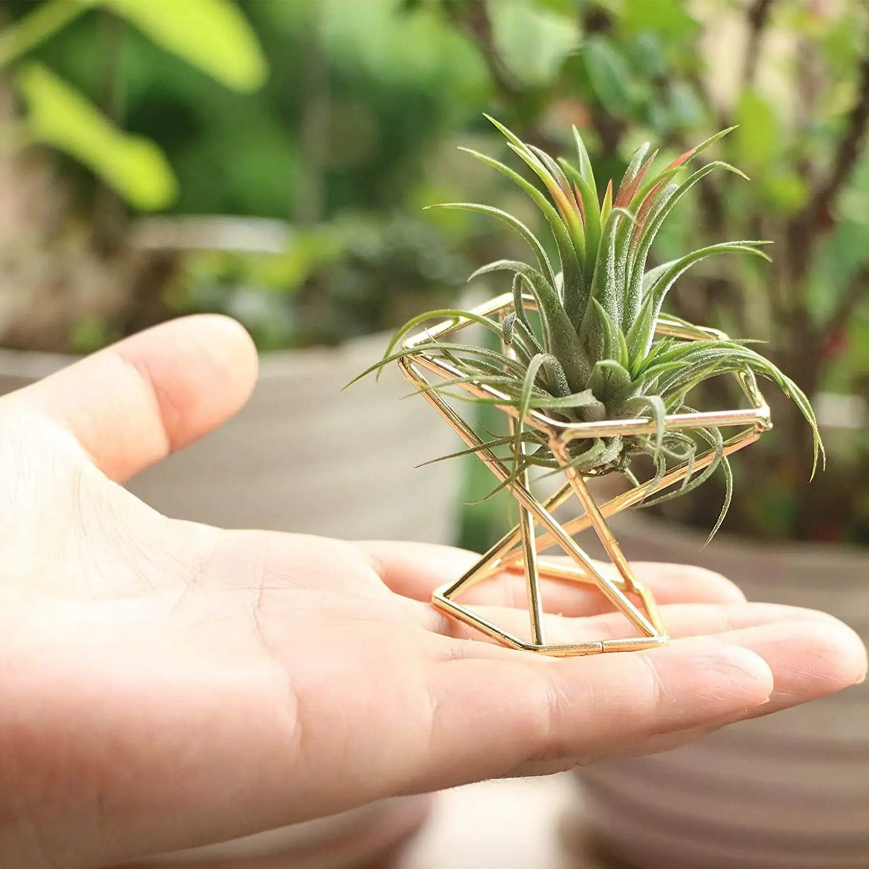 AT53 15 Pcs Geometric Air Plant Holder Airplants Rack Metal Plants Stand Planter Shelves Himmeli Decor Tillandsia Containers