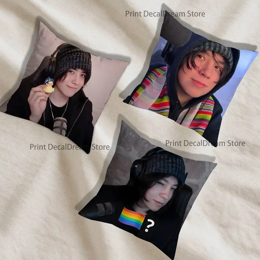 Qute Funny Q-Quackity Pillow Case For Sofa Decor Car Office Room Printing Cushion Cover Decorations and Protector