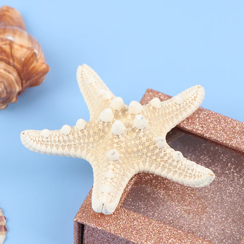 Starfish Crafts Decor Starfish DIY Shell Sea Fish Party Beige Starfish Decor