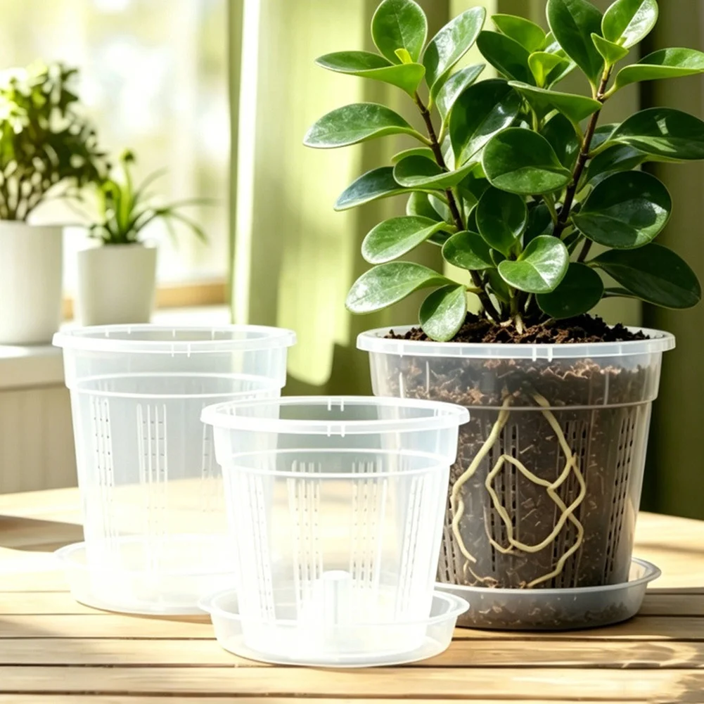 Transparent For Orchid Planters with Drainage Holes Air Circulation Vents and Sturdy Trays for Indoor Outdoor Use