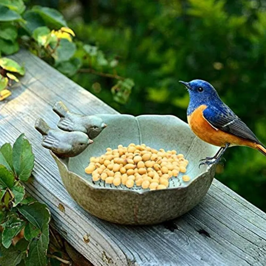 【Spot goods】5.9" Ceramic Birdbath Bowl Wild Bird Feeder Food Holder Container Bird Feeding Tray for Outside Bee Water Bath Outd view 6