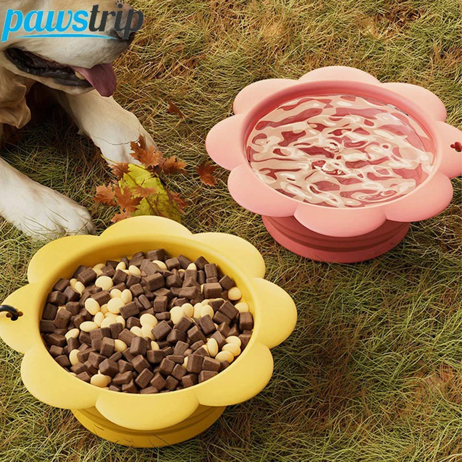#21 Cheapest Collapsible Dog Bowls Deals You Can Get