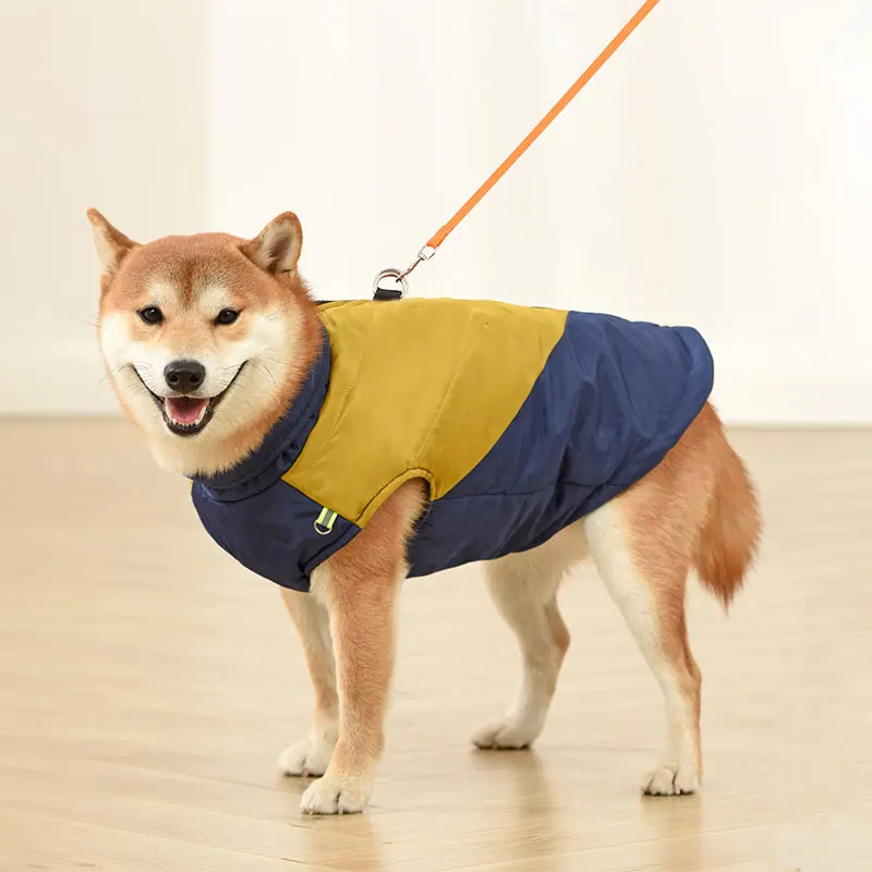 Thumbnail 4 - #77 Dog Coats List of Top Picks