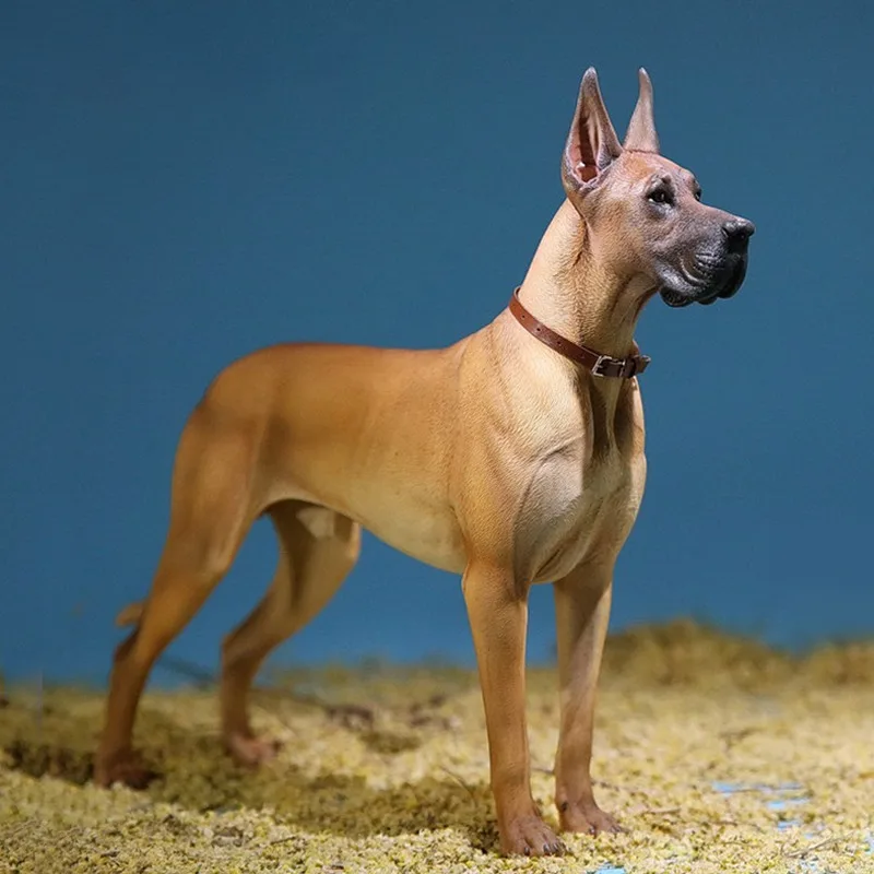 JXK Scala 1/6 Simulazione Resina Tedesco Grande Dane Pet Dog Modello Animale per Figure Giocattolo da 12 pollici Accessori per Scena del Corpo