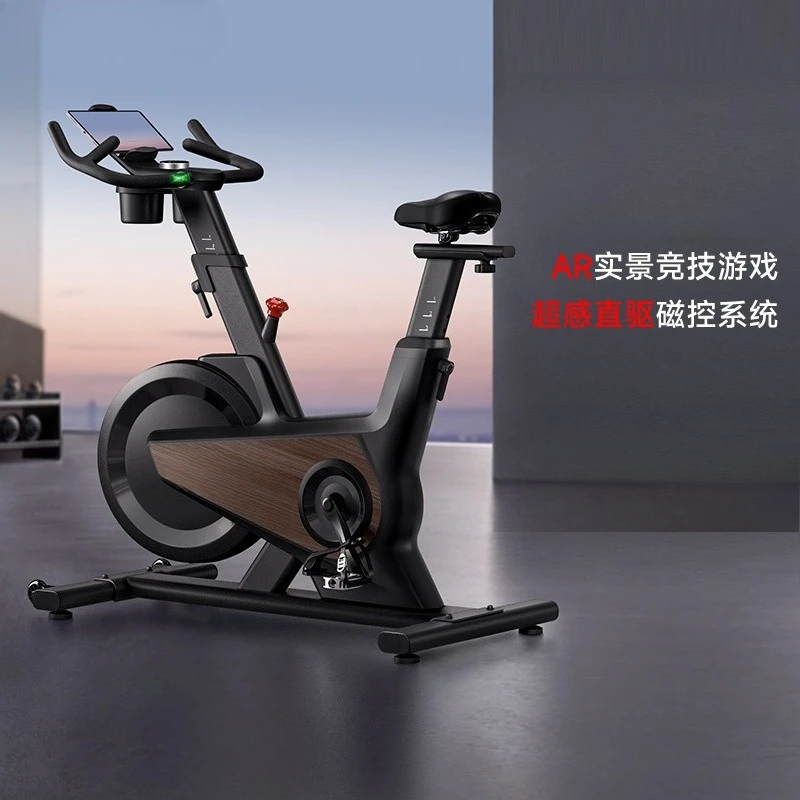 Intelligent Spinning Bicycle Household Self-generated Silent Exercise Bike