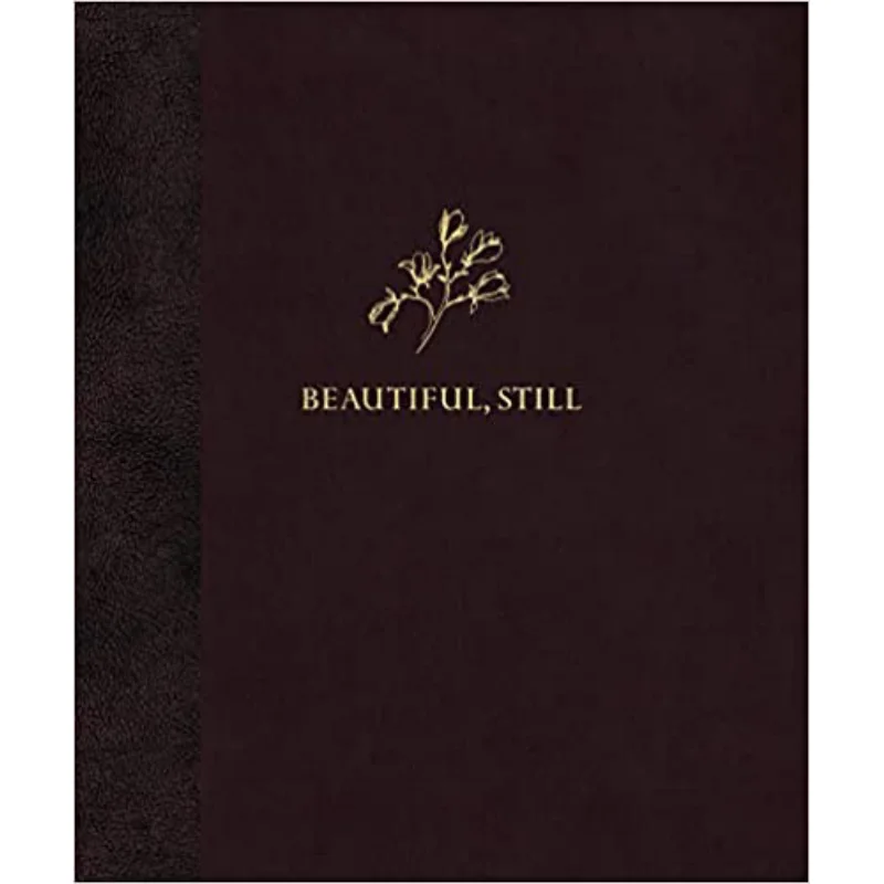 Beautiful Still Colby Deal MACK 9781913620615 Book