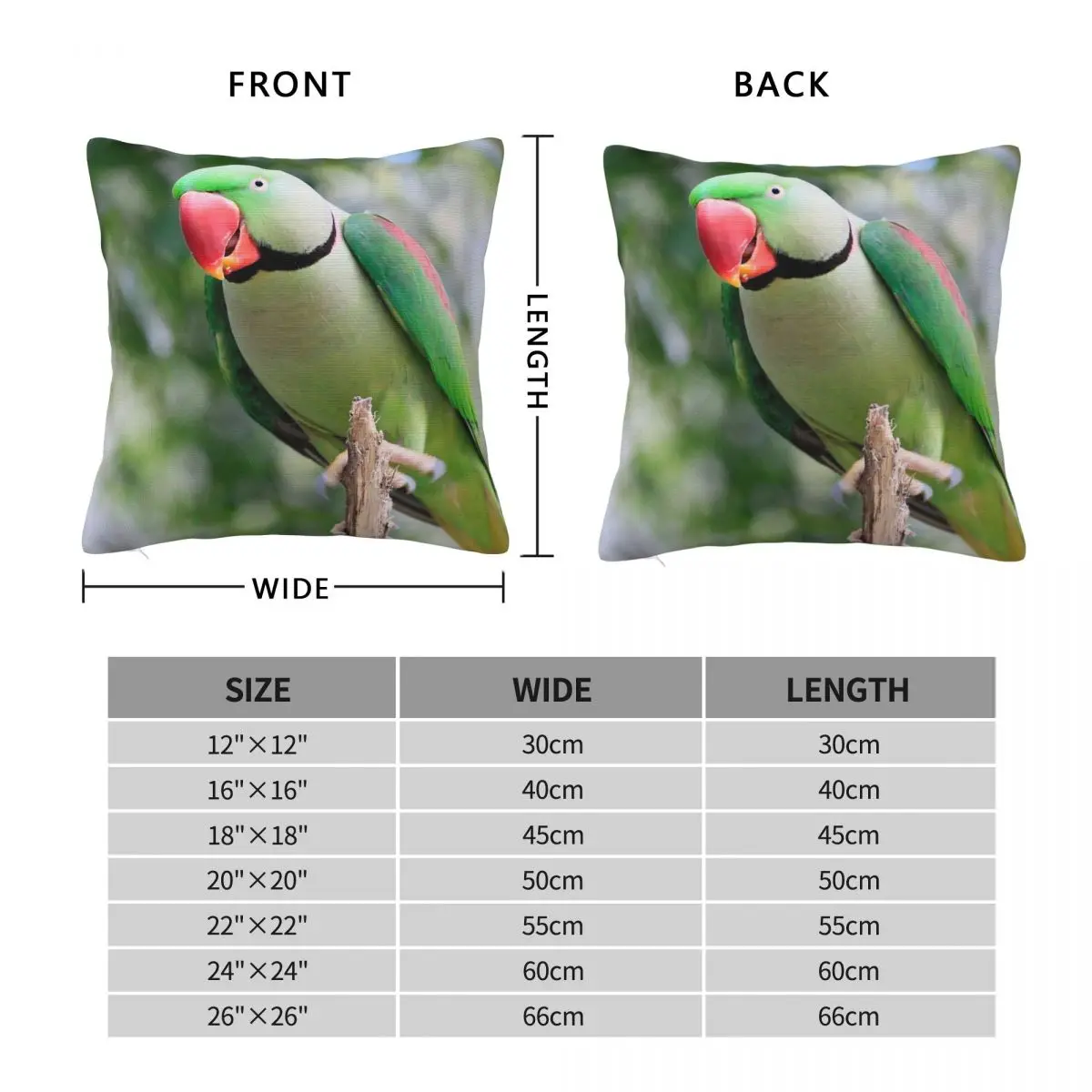 Alexandrine Parakeet Parrot Square Pillowcase Polyester Linen Velvet Printed Zip Decor Sofa Seater Cushion Cover 18