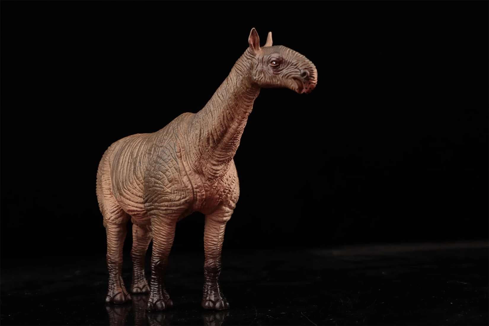 Earth Story スタジオ Paraceratherium モデル先史時代の動物フィギュアコレクションシーンの装飾誕生日ギフトのおもちゃ