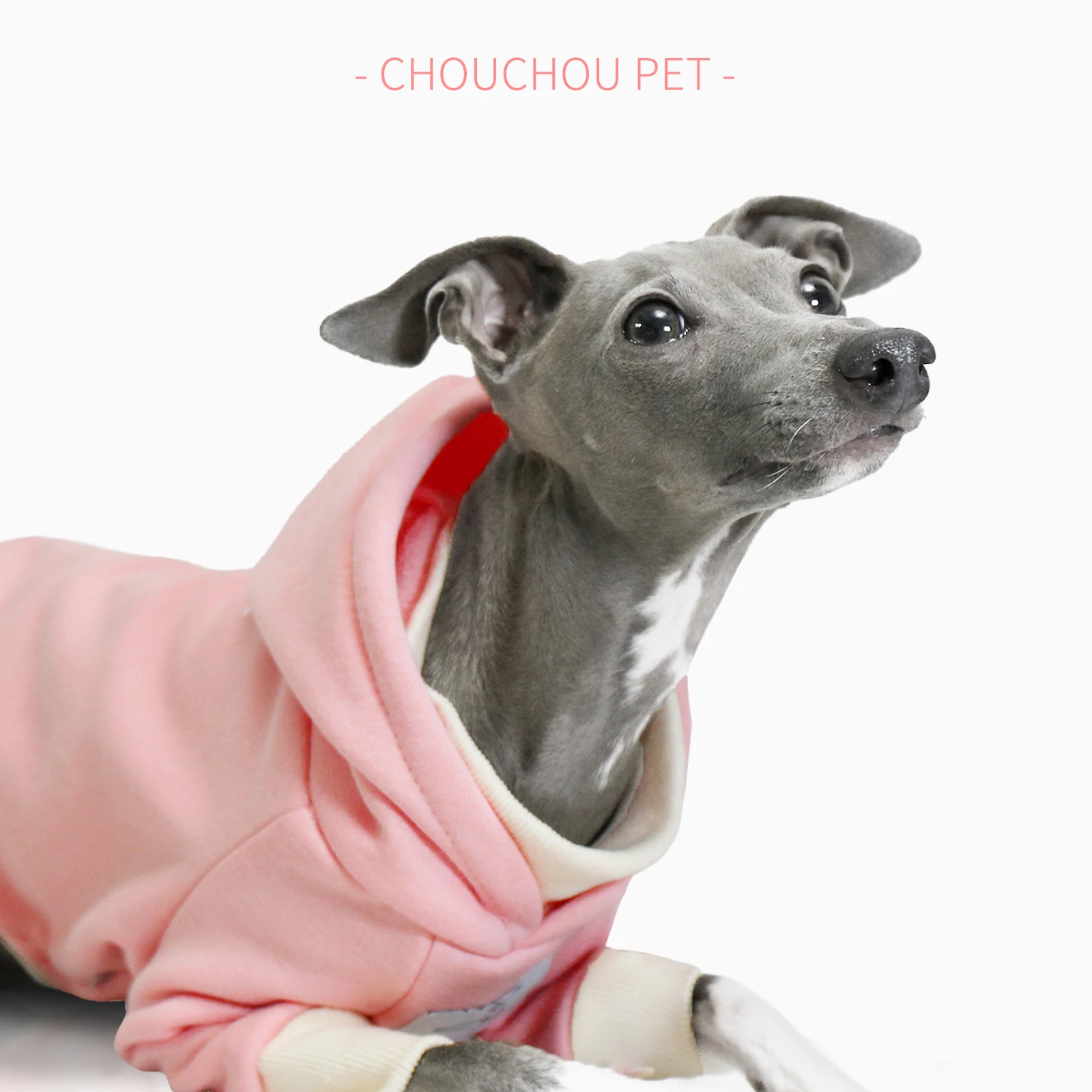 Pink Italian greyhound spring new hooded brown sweatshirt plus velvet warm pet sportswear Whippet dog clothes