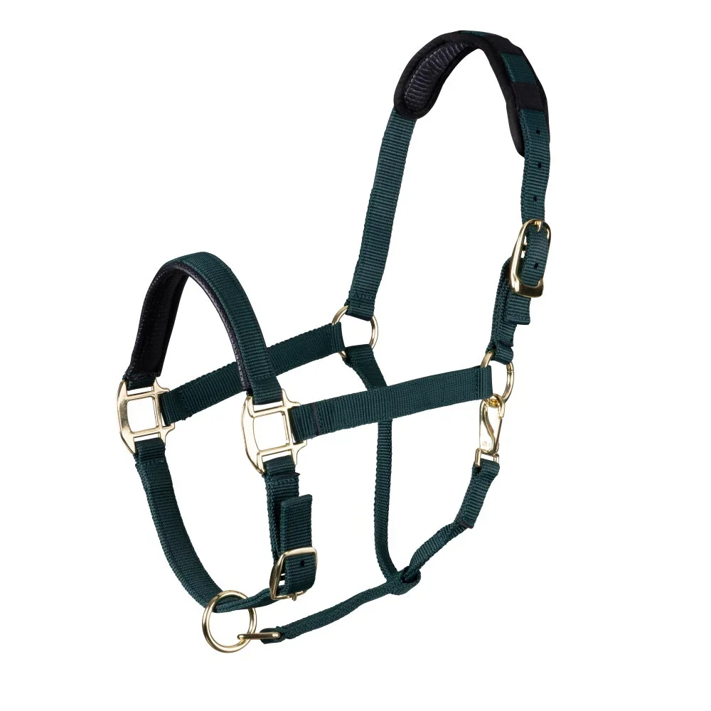 معدات الخيول العصرية الحصان Bridle Headstall مخصصة تحمل النايلون مقبض الحصان الرسن