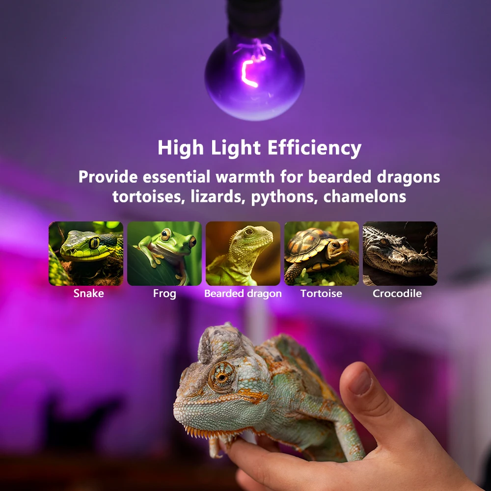 Reptile Heating Lamp Bulb 220V 75W Thermal Preservation Heat Infrared Ray for Reptile Spot Light Bulbs Amphibian Pet Snake Lamp