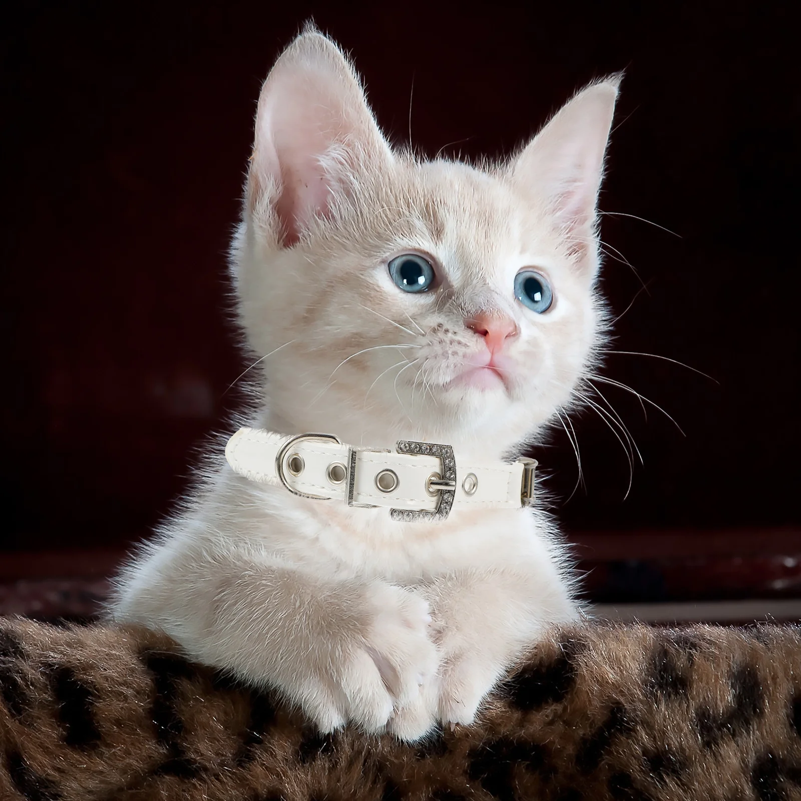 

2Pcs Adjustable Pet Dog Safety Collar and Leash Set Pearl Collar Puppy Neckwear for Parties Christmas Birthdays Wedding Photos